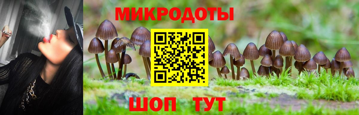 Галлюциногенные грибы Psilocybe Нижний Тагил